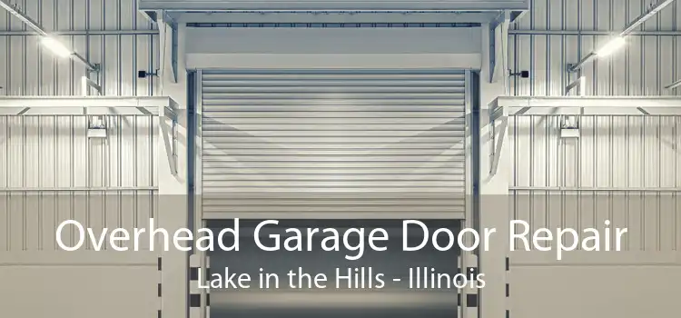 Overhead Garage Door Repair Lake in the Hills - Illinois
