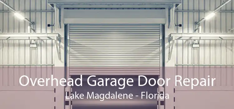 Overhead Garage Door Repair Lake Magdalene - Florida