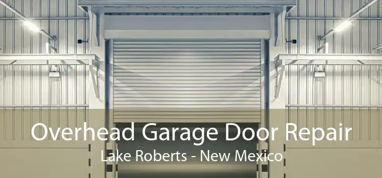 Overhead Garage Door Repair Lake Roberts - New Mexico