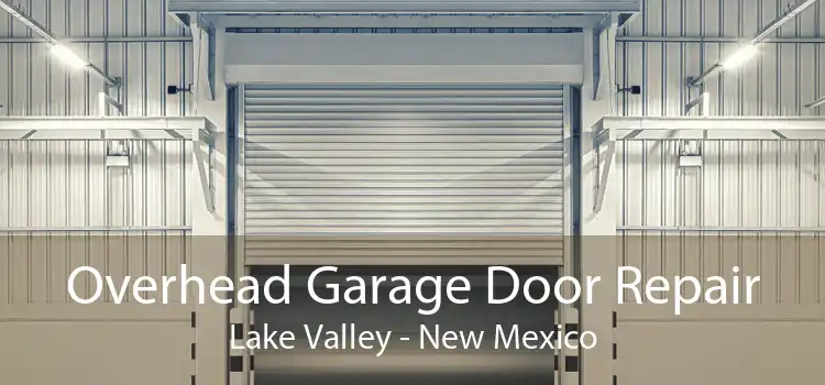 Overhead Garage Door Repair Lake Valley - New Mexico