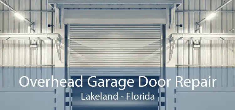 Overhead Garage Door Repair Lakeland - Florida