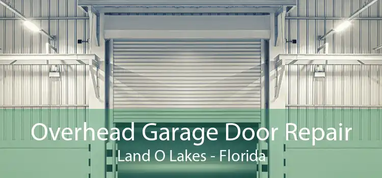 Overhead Garage Door Repair Land O Lakes - Florida