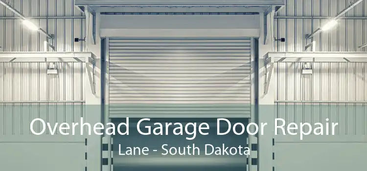 Overhead Garage Door Repair Lane - South Dakota