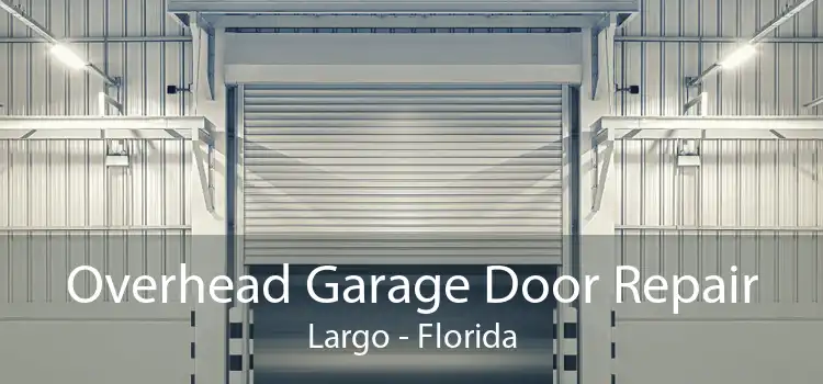 Overhead Garage Door Repair Largo - Florida