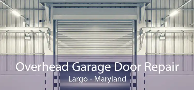 Overhead Garage Door Repair Largo - Maryland