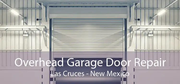 Overhead Garage Door Repair Las Cruces - New Mexico