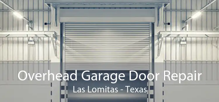 Overhead Garage Door Repair Las Lomitas - Texas