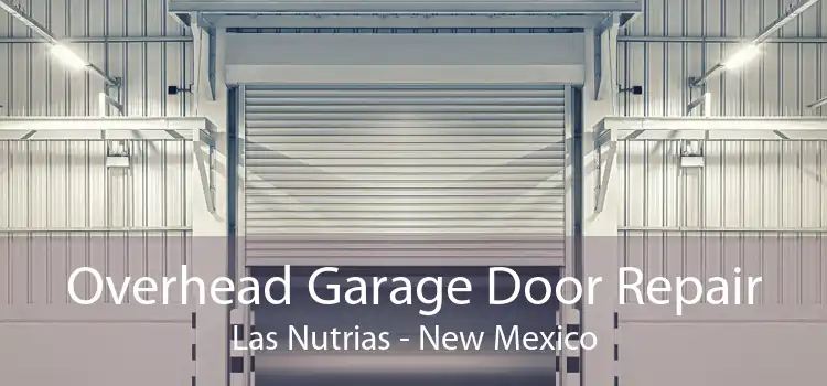 Overhead Garage Door Repair Las Nutrias - New Mexico