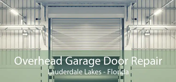 Overhead Garage Door Repair Lauderdale Lakes - Florida