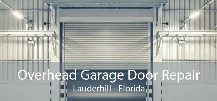 Overhead Garage Door Repair Lauderhill - Florida