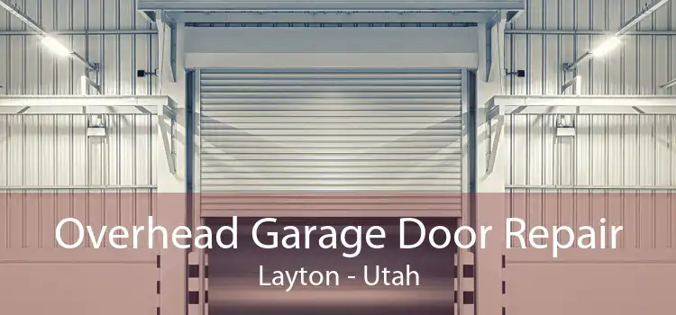 Overhead Garage Door Repair Layton - Utah