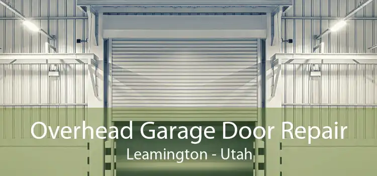 Overhead Garage Door Repair Leamington - Utah