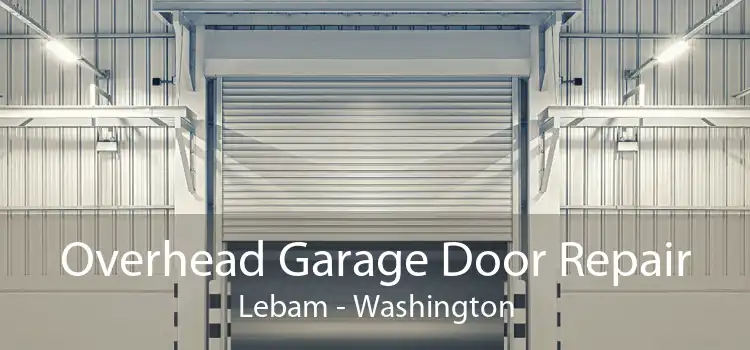 Overhead Garage Door Repair Lebam - Washington