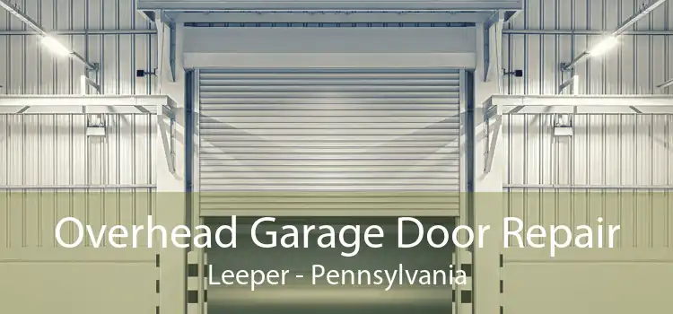 Overhead Garage Door Repair Leeper - Pennsylvania