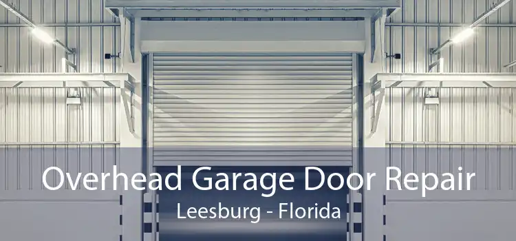 Overhead Garage Door Repair Leesburg - Florida