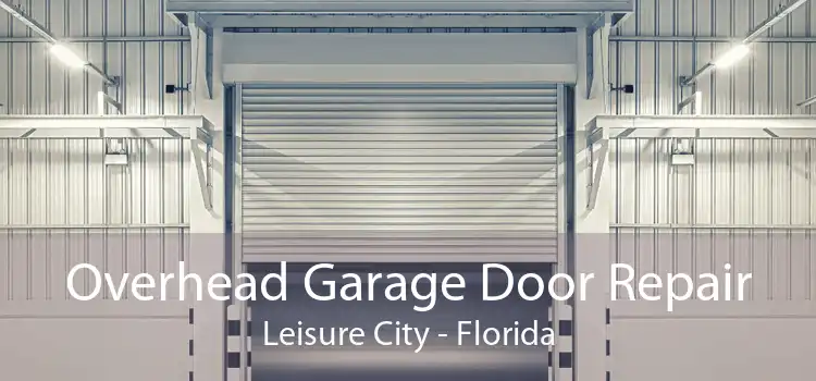Overhead Garage Door Repair Leisure City - Florida