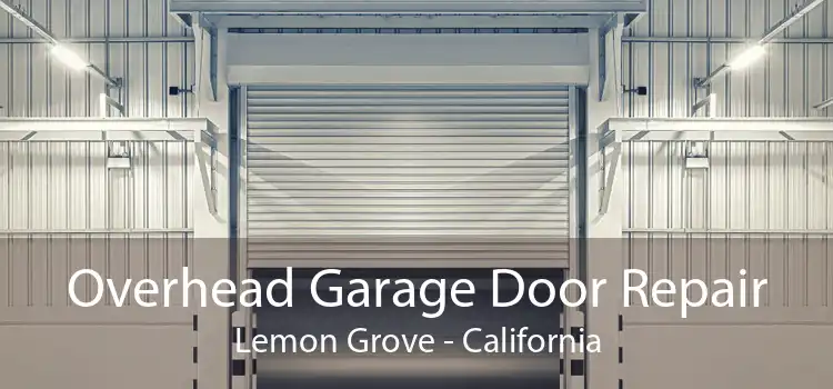 Overhead Garage Door Repair Lemon Grove - California