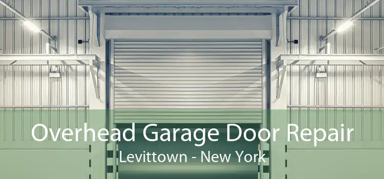 Overhead Garage Door Repair Levittown - New York