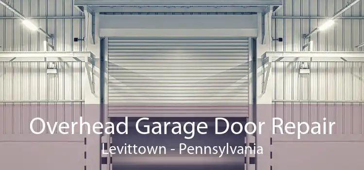 Overhead Garage Door Repair Levittown - Pennsylvania