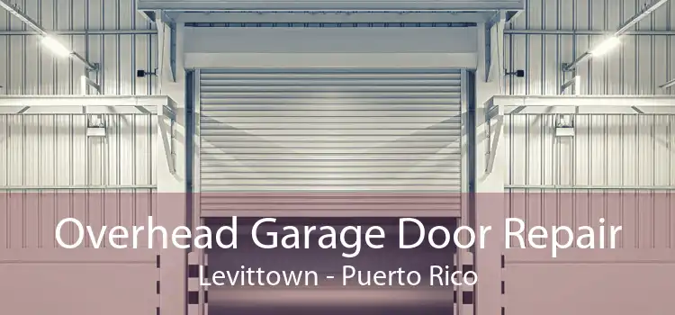 Overhead Garage Door Repair Levittown - Puerto Rico