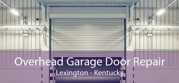 Overhead Garage Door Repair Lexington - Kentucky