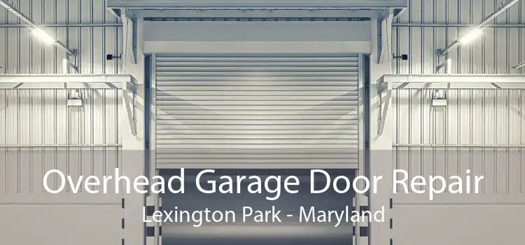 Overhead Garage Door Repair Lexington Park - Maryland