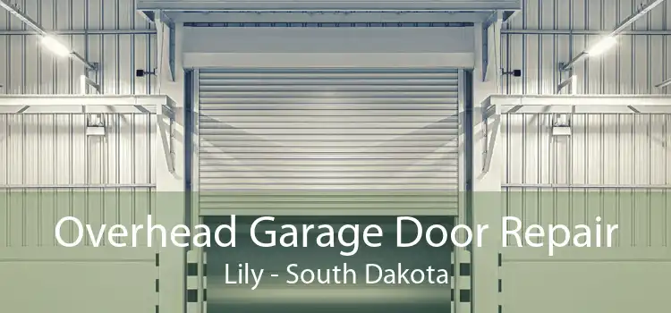 Overhead Garage Door Repair Lily - South Dakota