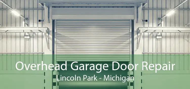 Overhead Garage Door Repair Lincoln Park - Michigan