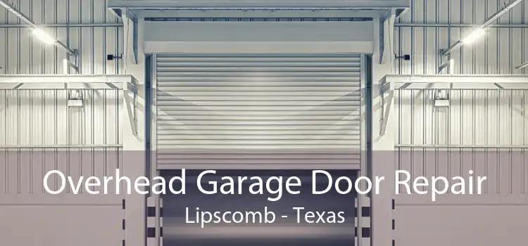 Overhead Garage Door Repair Lipscomb - Texas