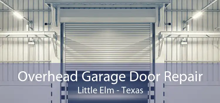 Overhead Garage Door Repair Little Elm - Texas