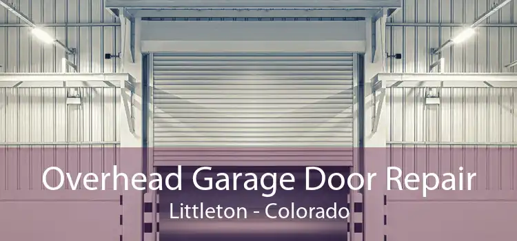 Overhead Garage Door Repair Littleton - Colorado