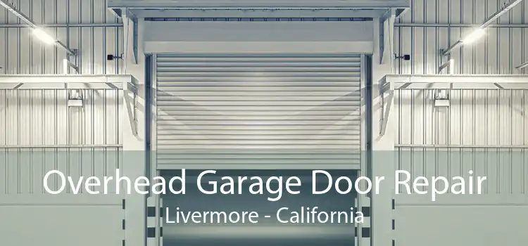 Overhead Garage Door Repair Livermore - California