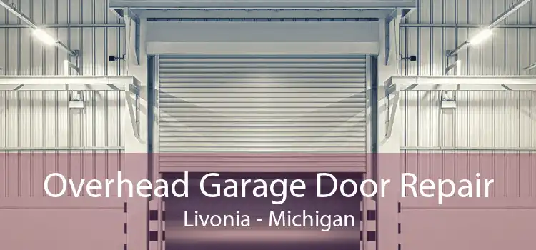 Overhead Garage Door Repair Livonia - Michigan