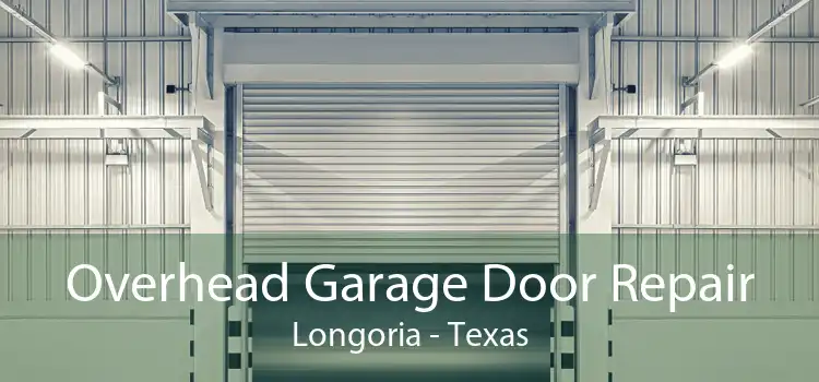 Overhead Garage Door Repair Longoria - Texas