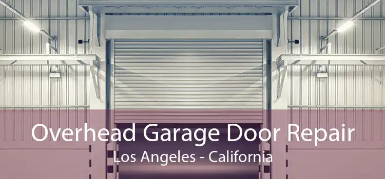 Overhead Garage Door Repair Los Angeles - California