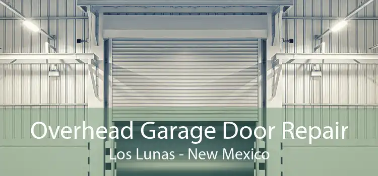 Overhead Garage Door Repair Los Lunas - New Mexico