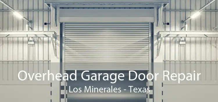 Overhead Garage Door Repair Los Minerales - Texas