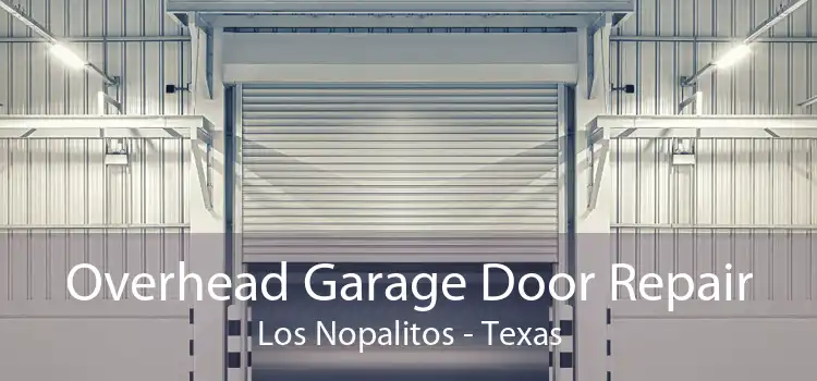 Overhead Garage Door Repair Los Nopalitos - Texas