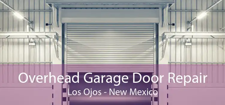 Overhead Garage Door Repair Los Ojos - New Mexico