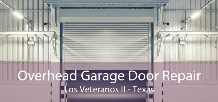 Overhead Garage Door Repair Los Veteranos II - Texas