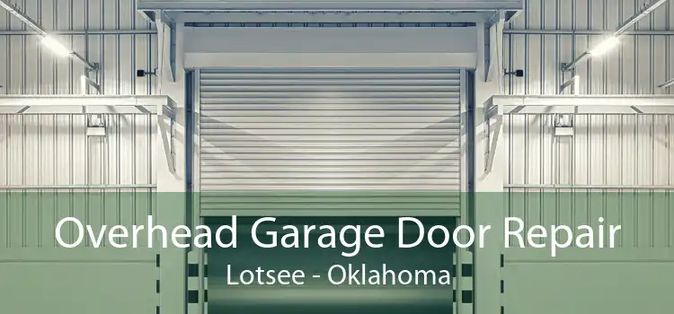Overhead Garage Door Repair Lotsee - Oklahoma