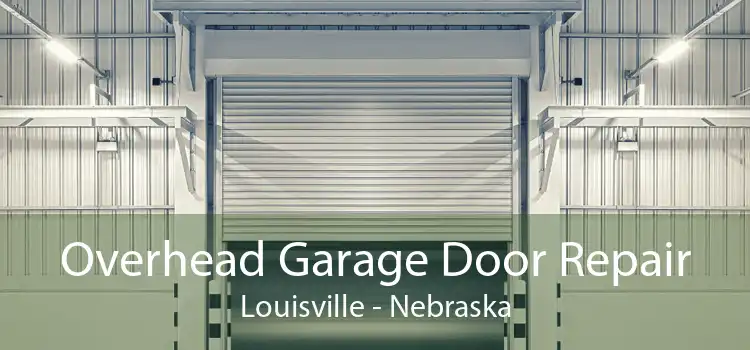 Overhead Garage Door Repair Louisville - Nebraska