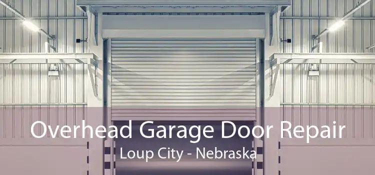 Overhead Garage Door Repair Loup City - Nebraska