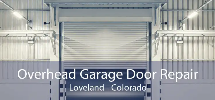 Overhead Garage Door Repair Loveland - Colorado