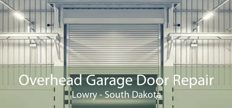 Overhead Garage Door Repair Lowry - South Dakota