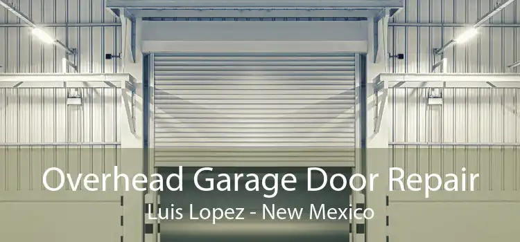 Overhead Garage Door Repair Luis Lopez - New Mexico