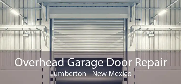 Overhead Garage Door Repair Lumberton - New Mexico