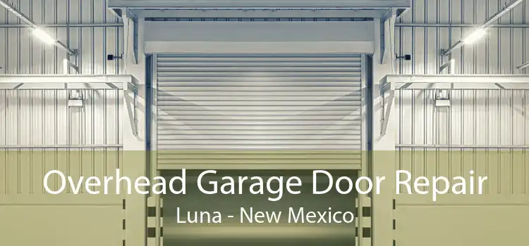 Overhead Garage Door Repair Luna - New Mexico