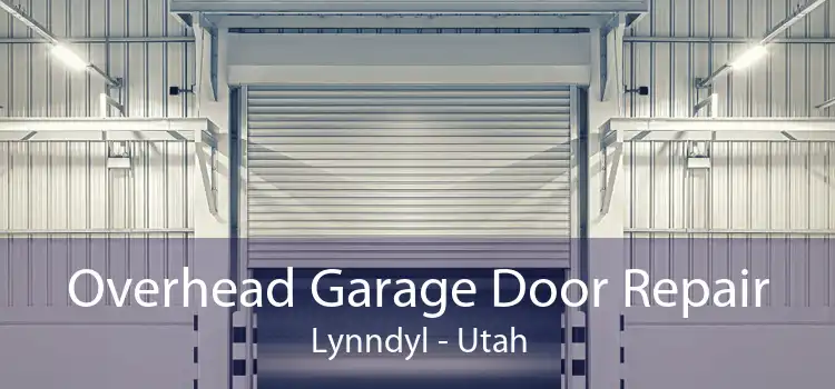 Overhead Garage Door Repair Lynndyl - Utah