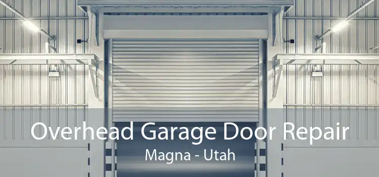 Overhead Garage Door Repair Magna - Utah